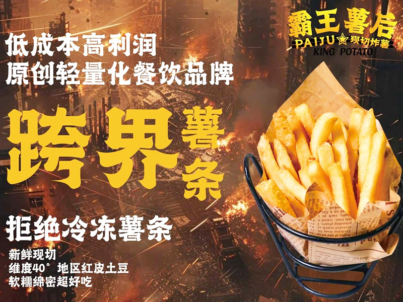 薯条专门店：美食新宠，风靡全城！